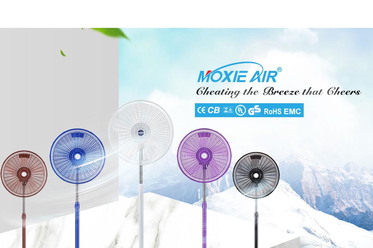 Moxie Electrical (Zhongshan) Co., Ltd.
